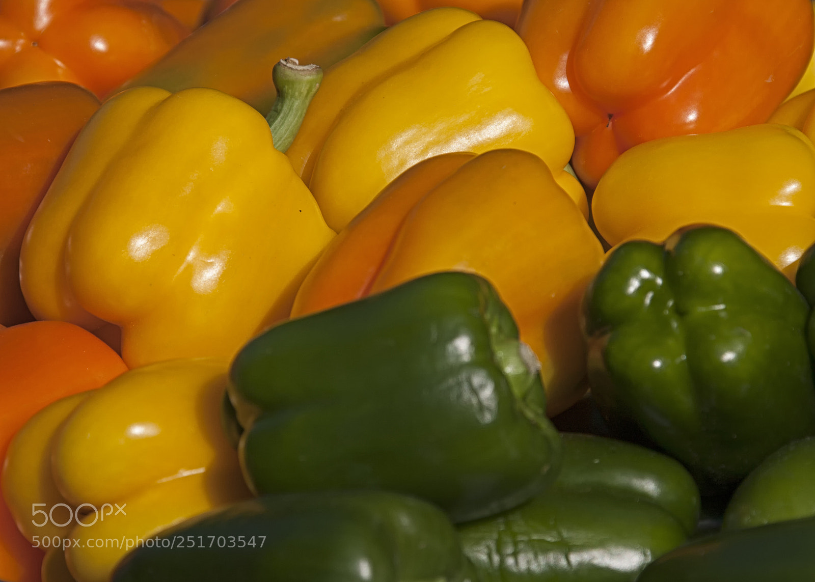Canon EOS 5D sample photo. A photography