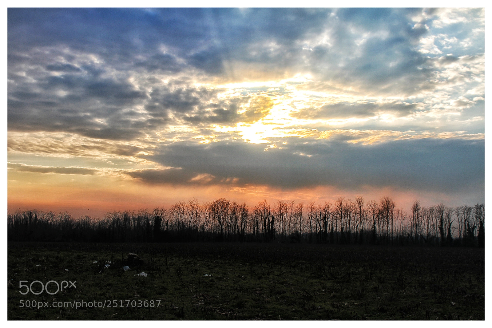 Canon EOS 7D sample photo. Untitled photography