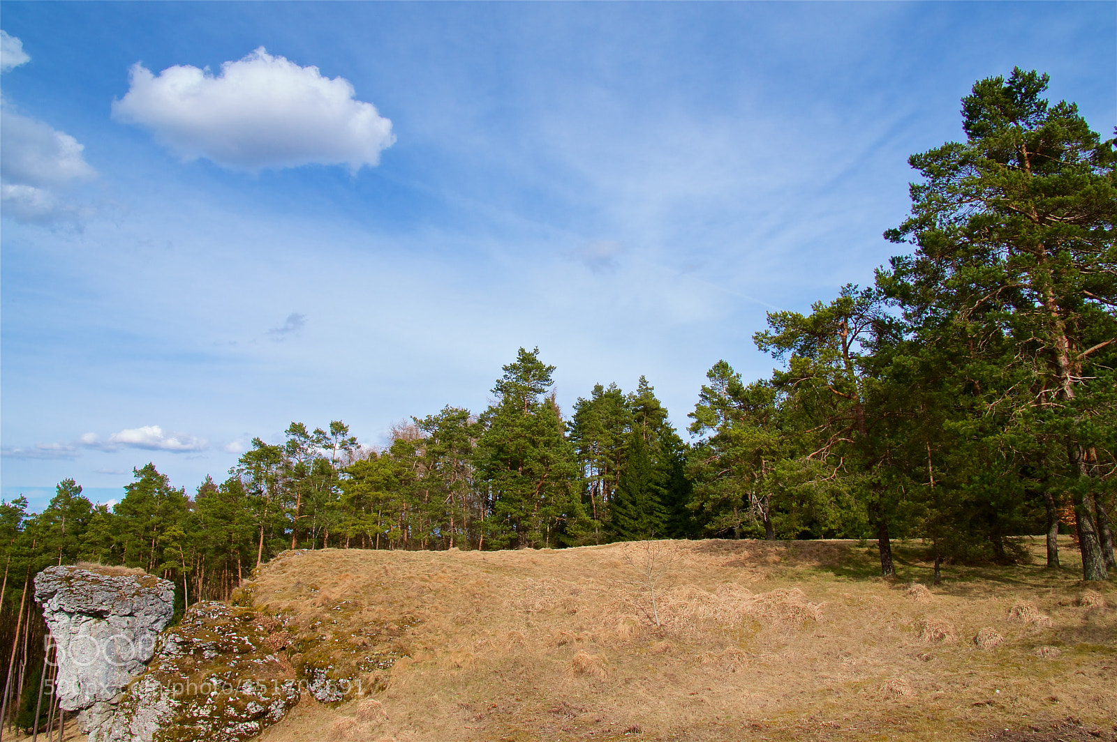 Pentax K-3 II sample photo. Heroldstein photography