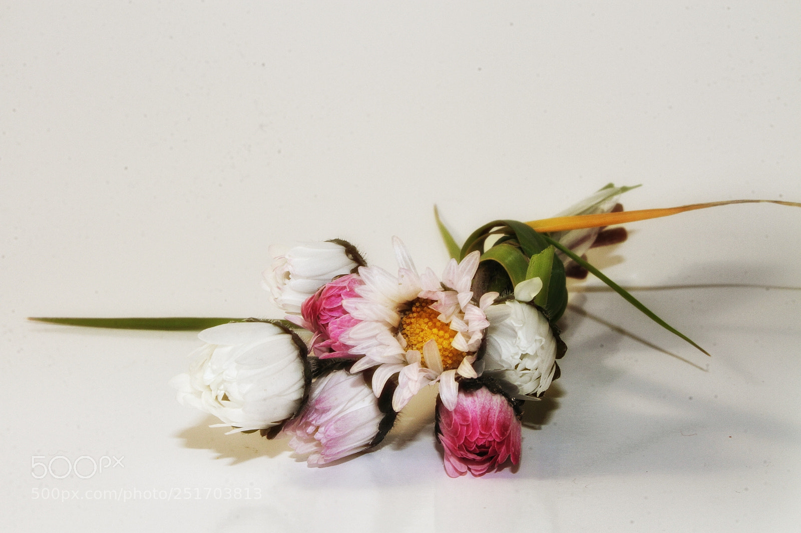 Canon EOS 7D sample photo. Untitled photography