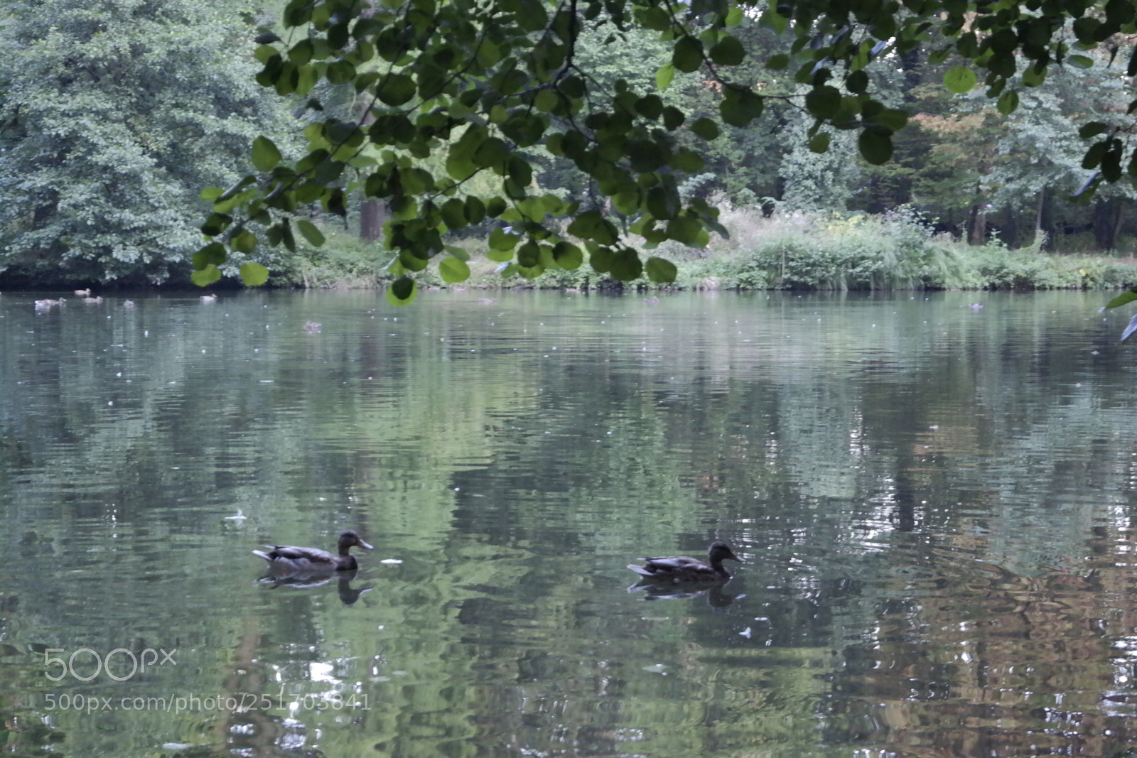Samsung NX2000 sample photo. Peace photography