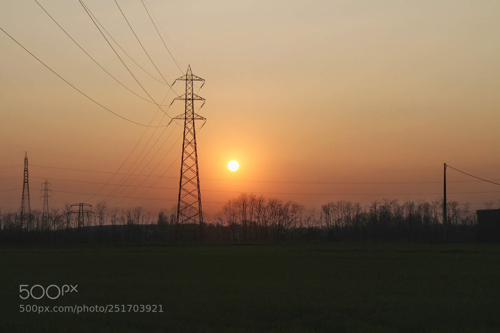 Canon EOS 7D sample photo. Untitled photography