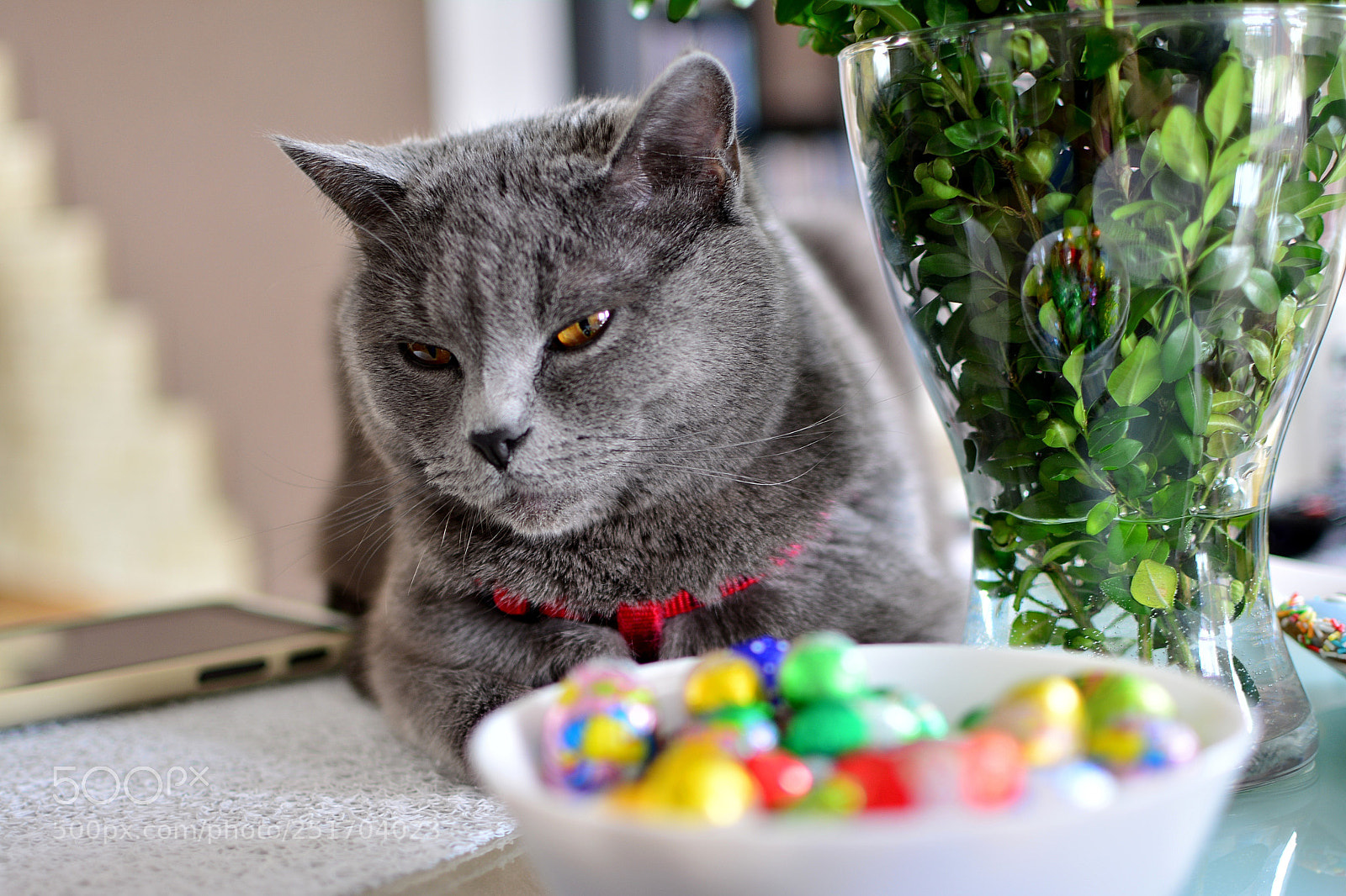 Nikon D5200 + Nikon AF-S DX Nikkor 35mm F1.8G sample photo. Happy easter photography