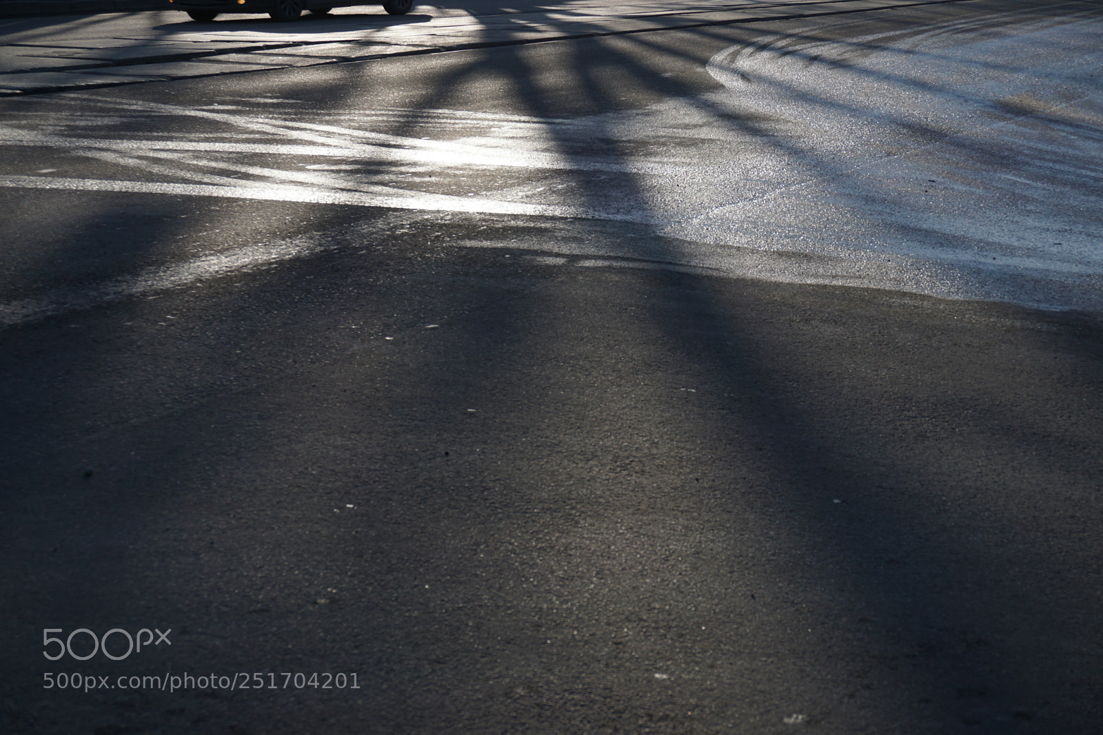 Sony a6000 sample photo. February 2018 photography