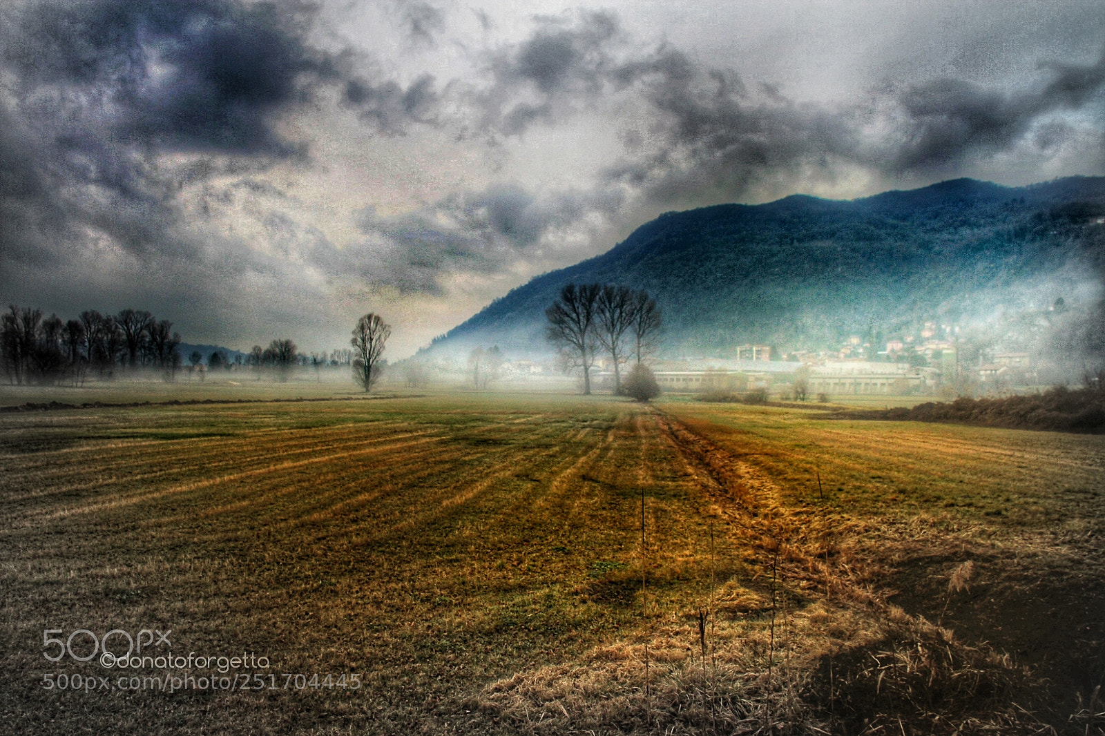 Canon EOS 7D sample photo. Untitled photography