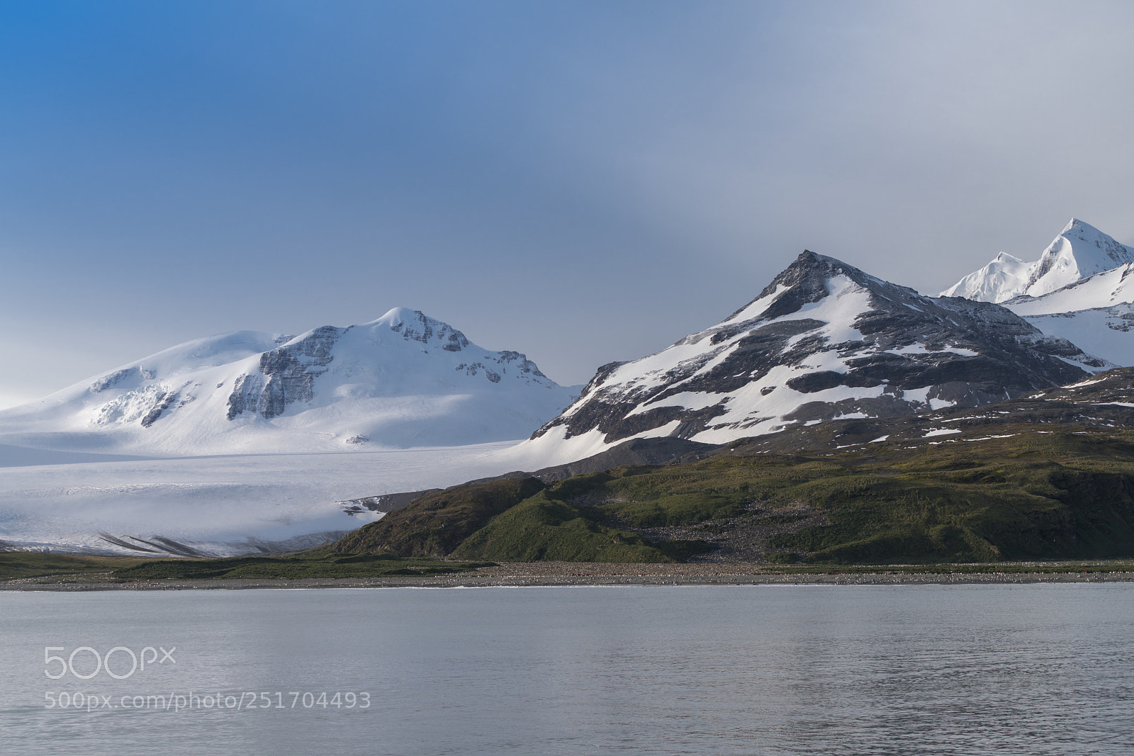 Sony a7R II sample photo. Salisbury plains, south georgia photography