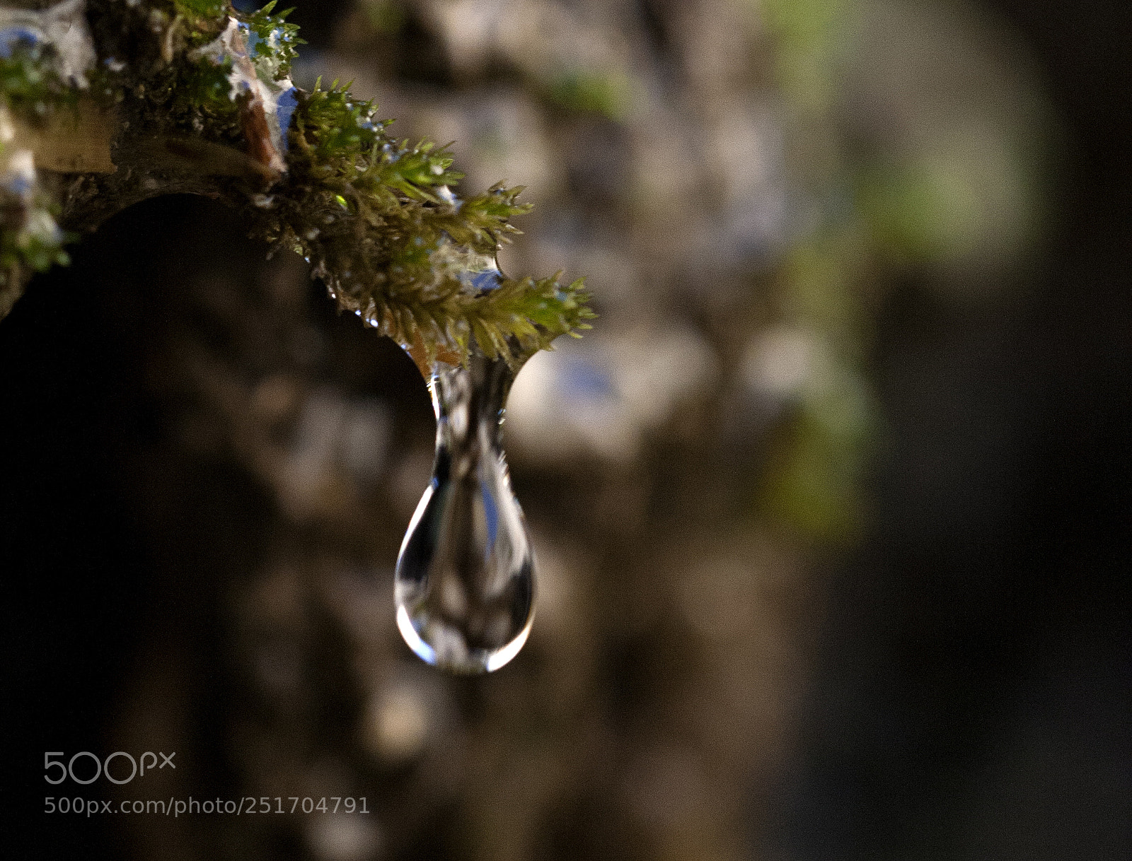 Canon EOS 5D sample photo. Img photography