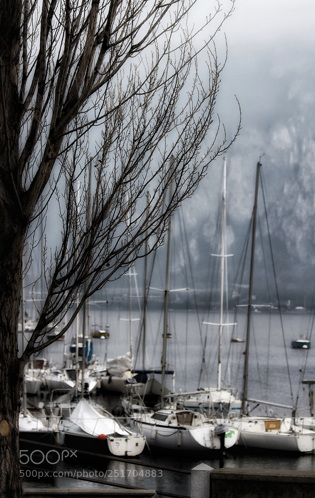 Canon EOS 7D sample photo. Untitled photography
