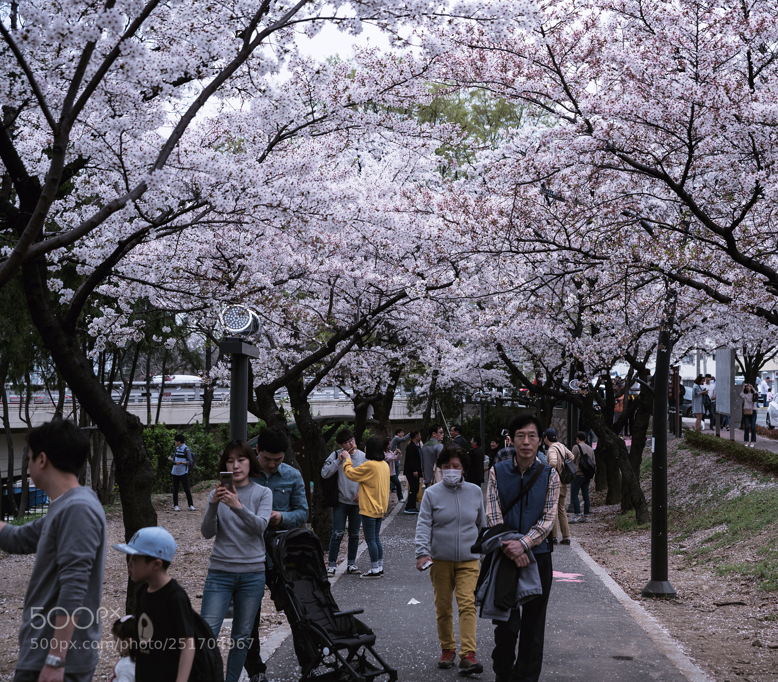 Nikon D850 sample photo. Untitled photography