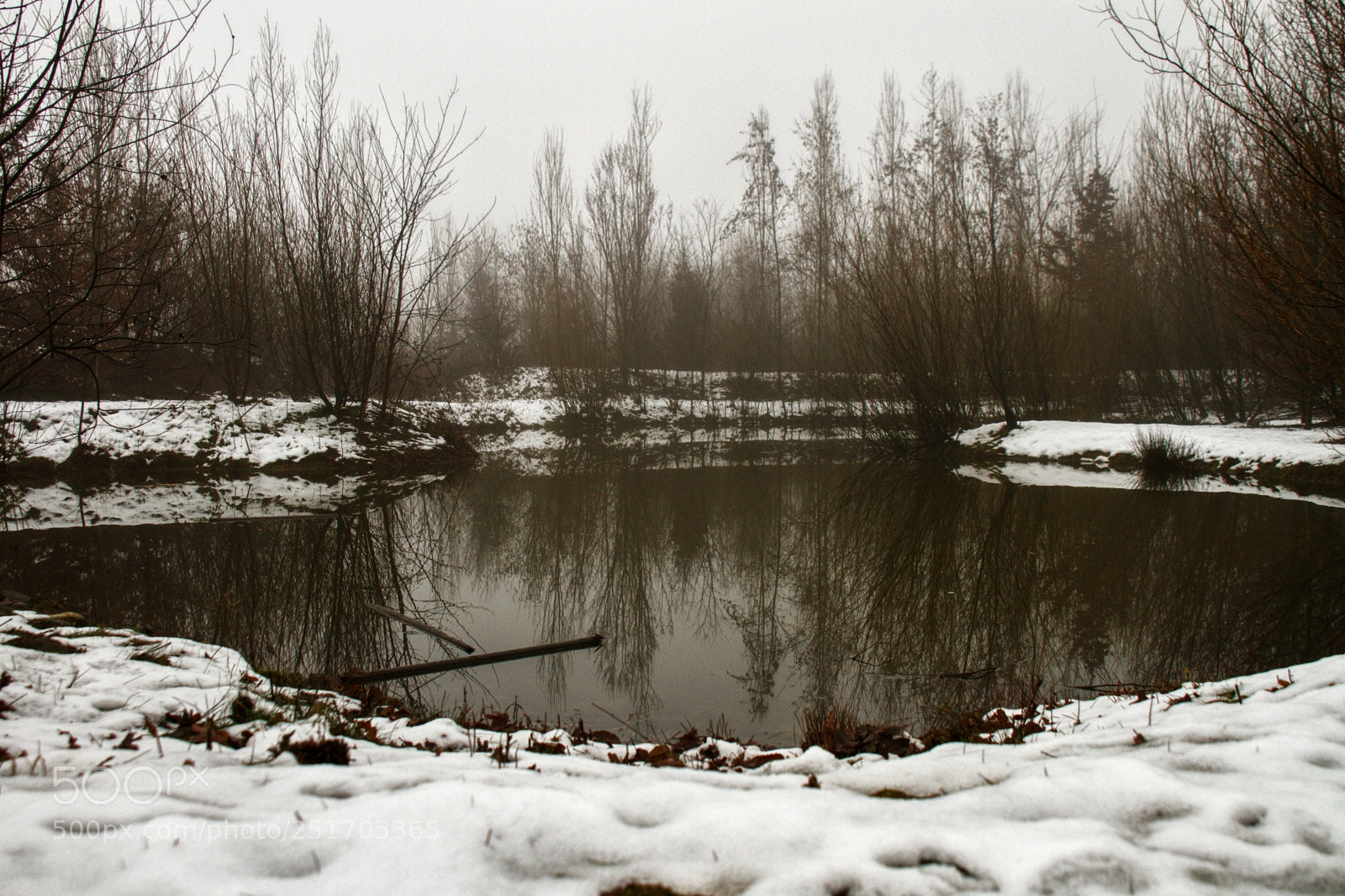 Canon EOS 7D sample photo. Untitled photography
