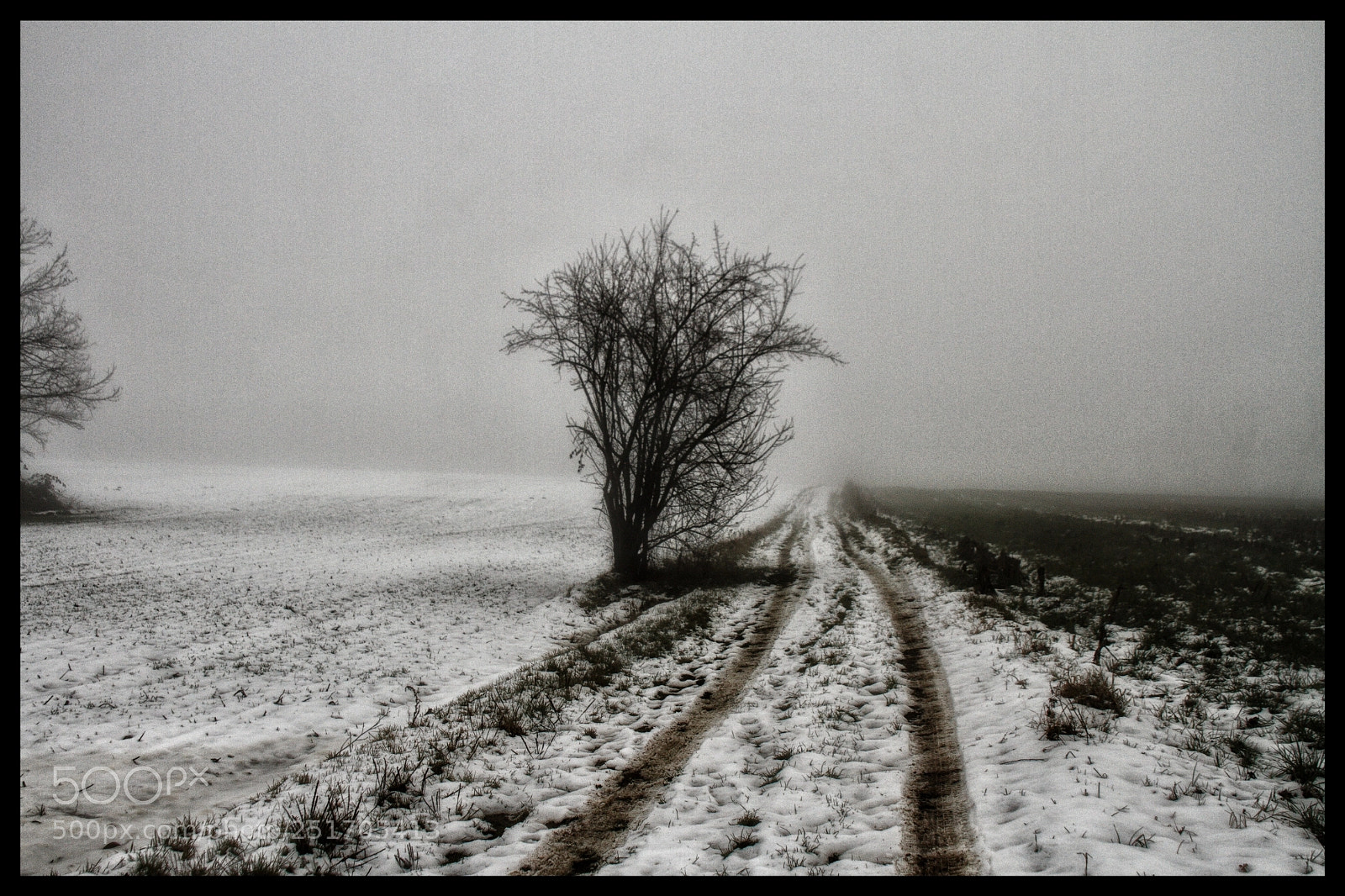 Canon EOS 7D sample photo. Untitled photography