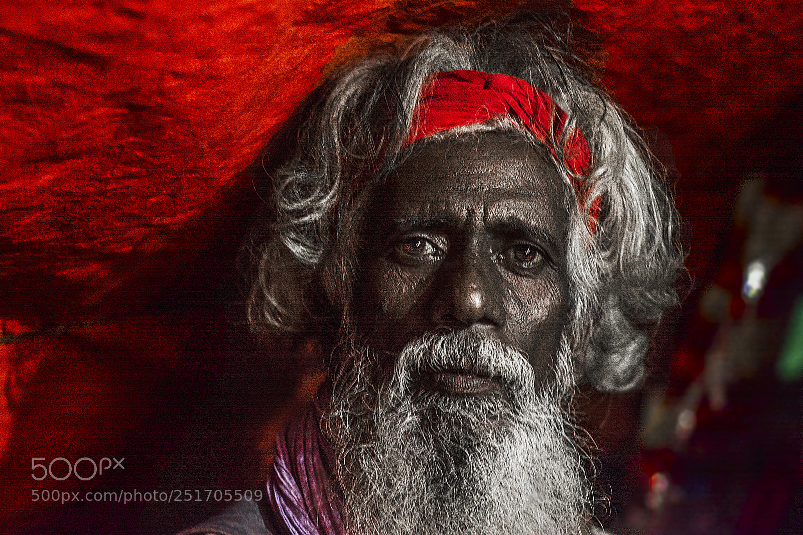 Nikon D7100 sample photo. Saints in red photography