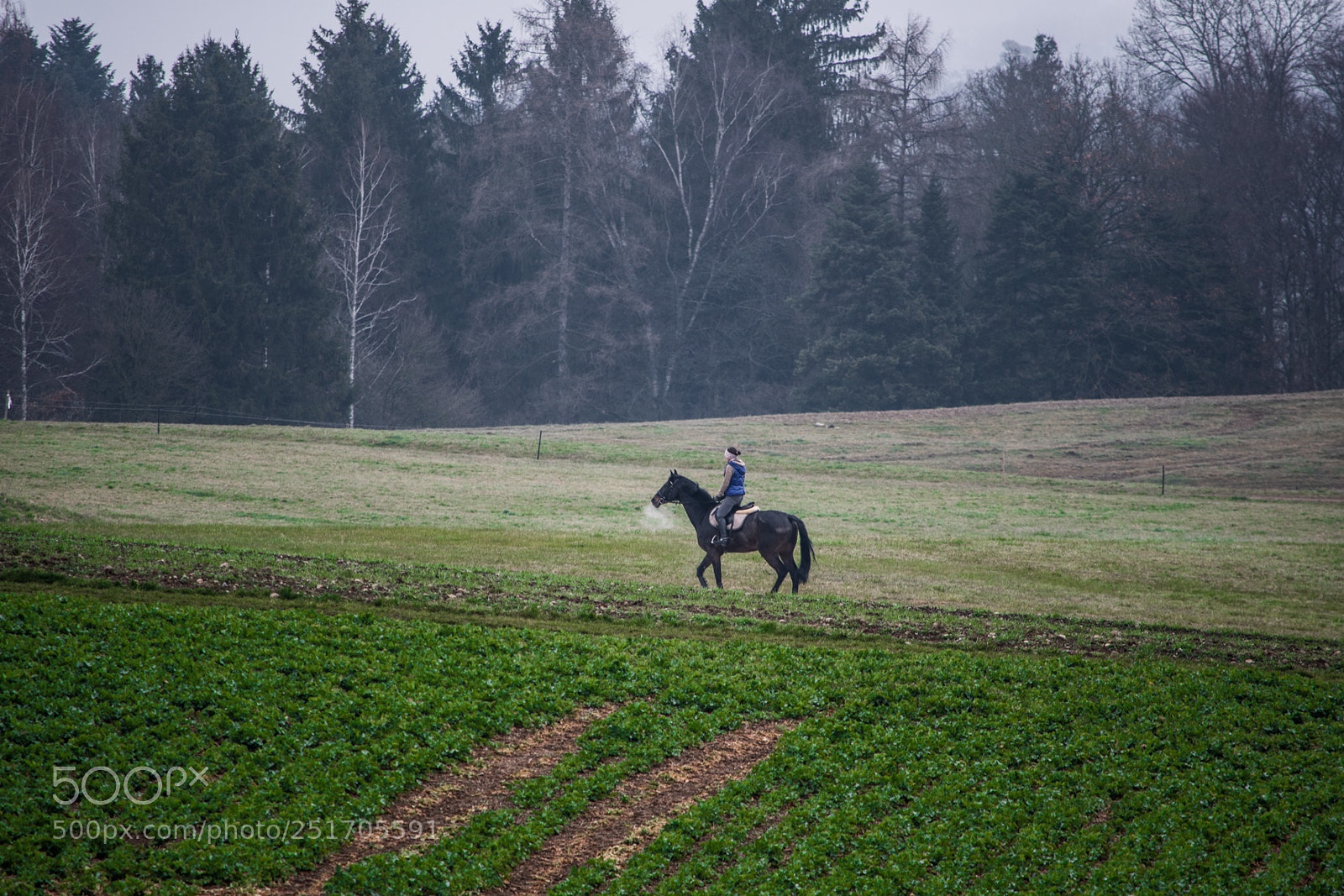 Nikon D7500 sample photo. Untitled photography