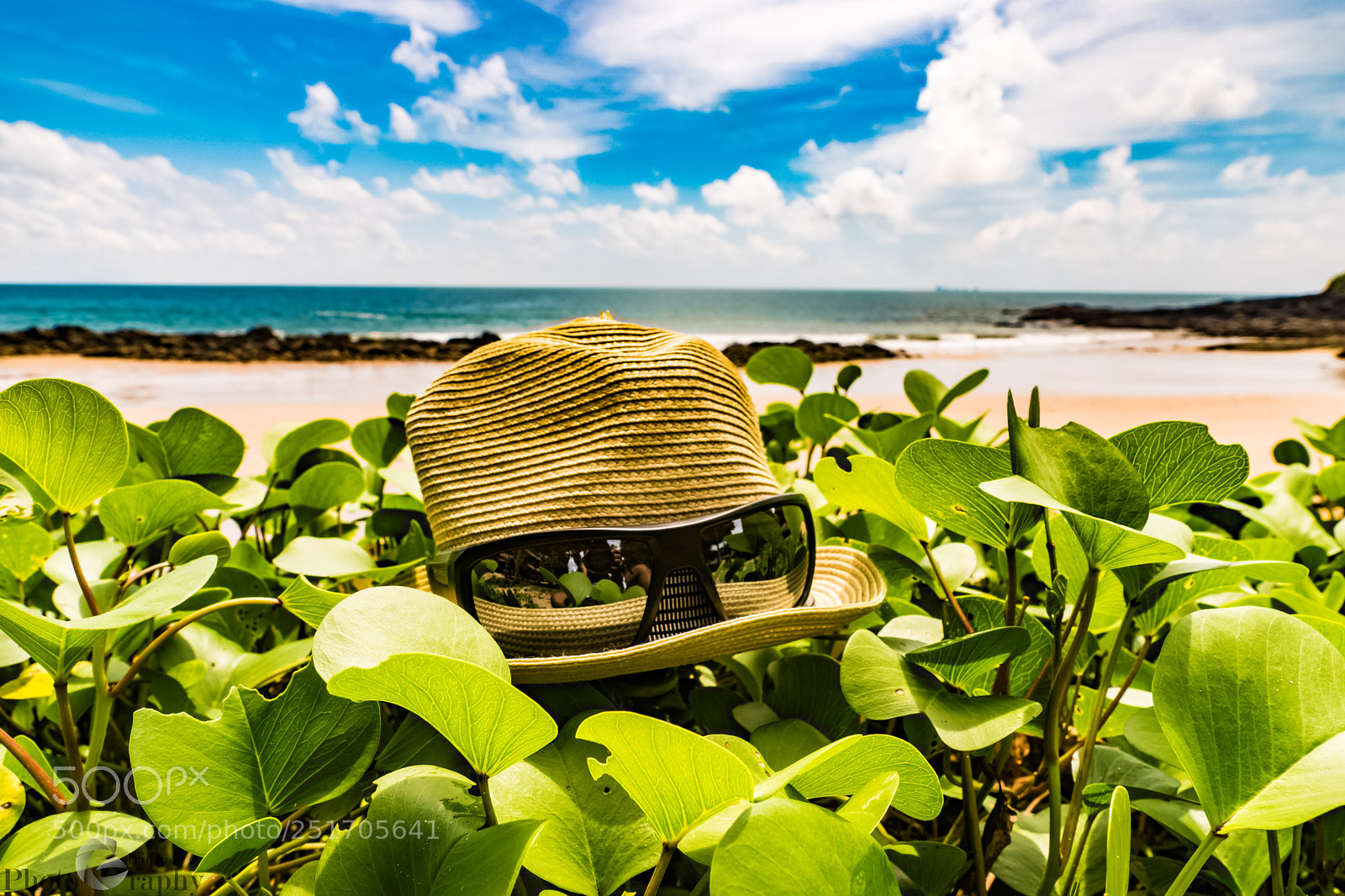 Sony ILCA-77M2 sample photo. Mr. leaves photography