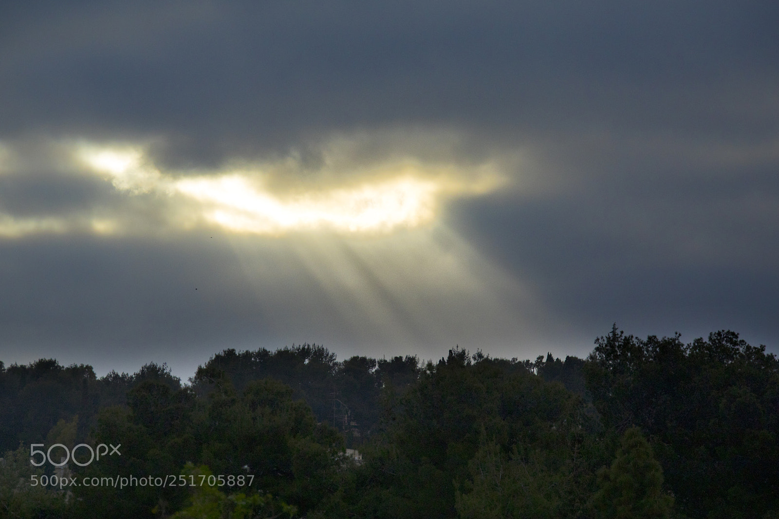 Canon EOS 5D Mark IV sample photo. Qva photography