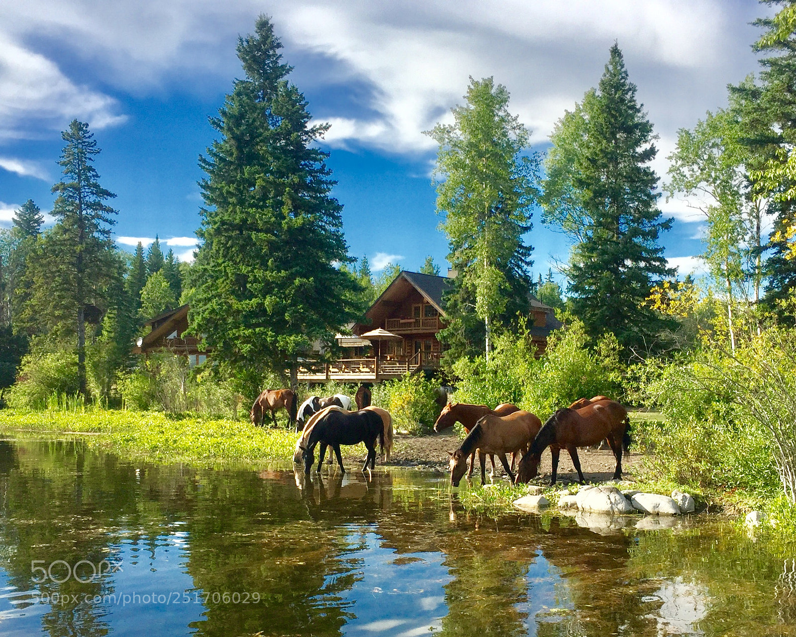 Apple iPhone 6 sample photo. Ten-ee-ah lodge photography