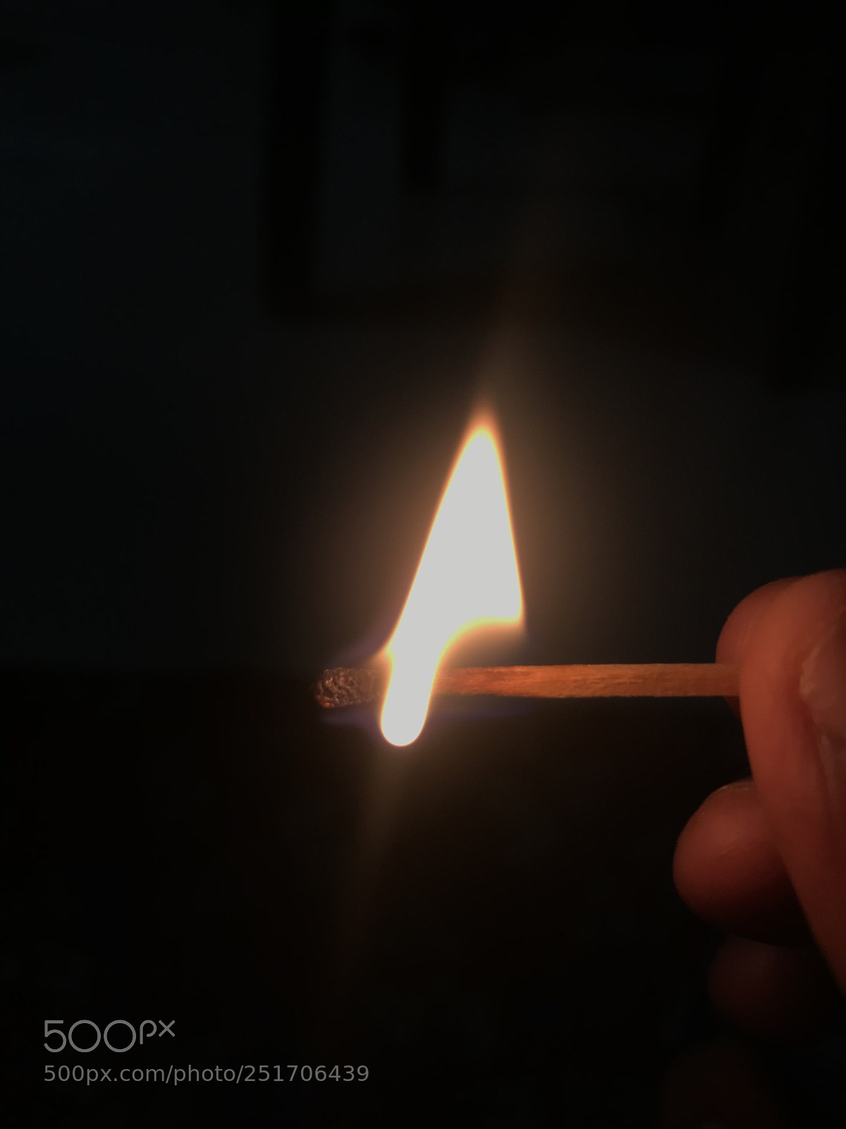 Apple iPhone 7 Plus sample photo. Untitled photography