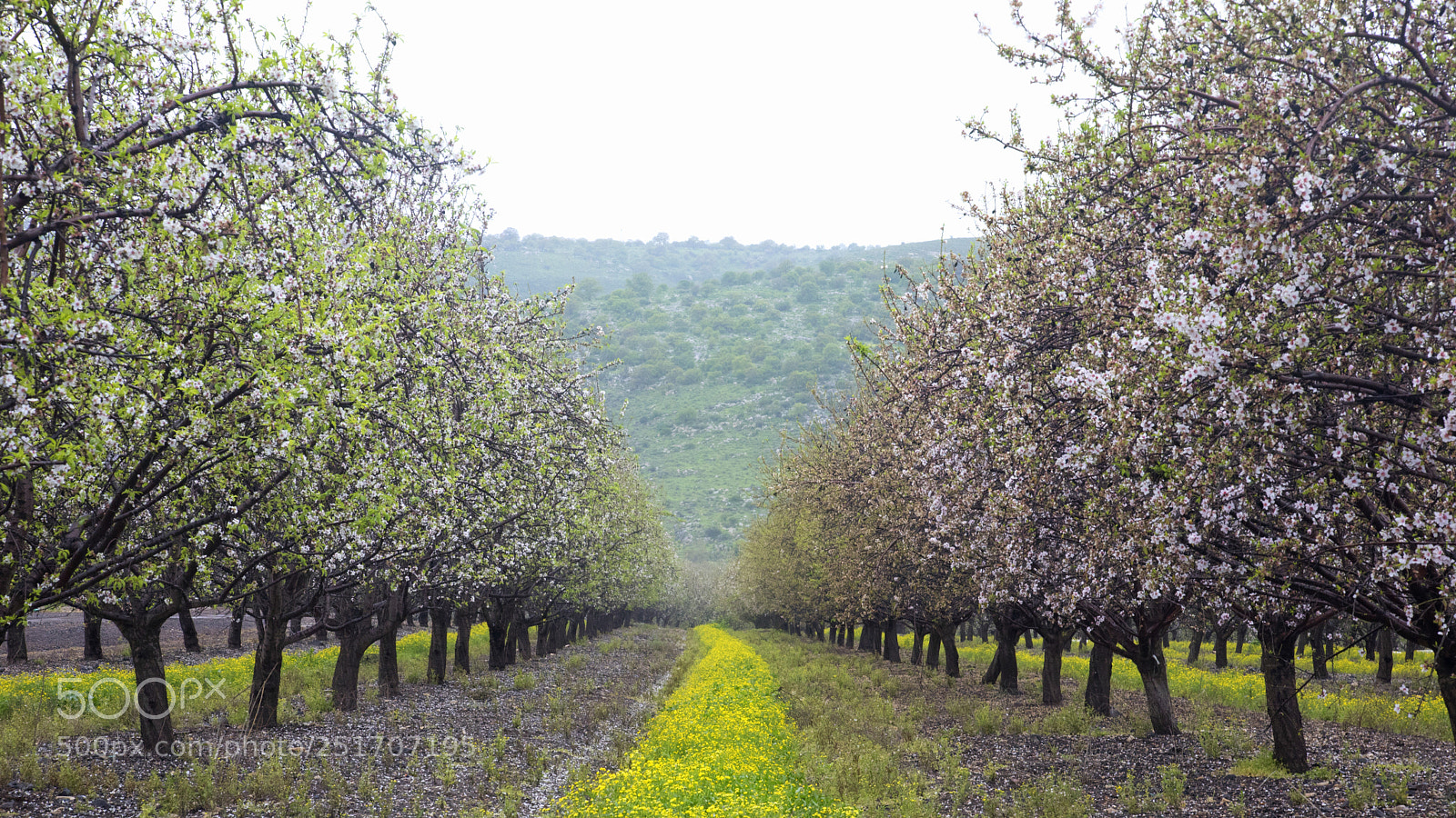 Canon EOS 5D Mark IV sample photo. 2.jpg photography