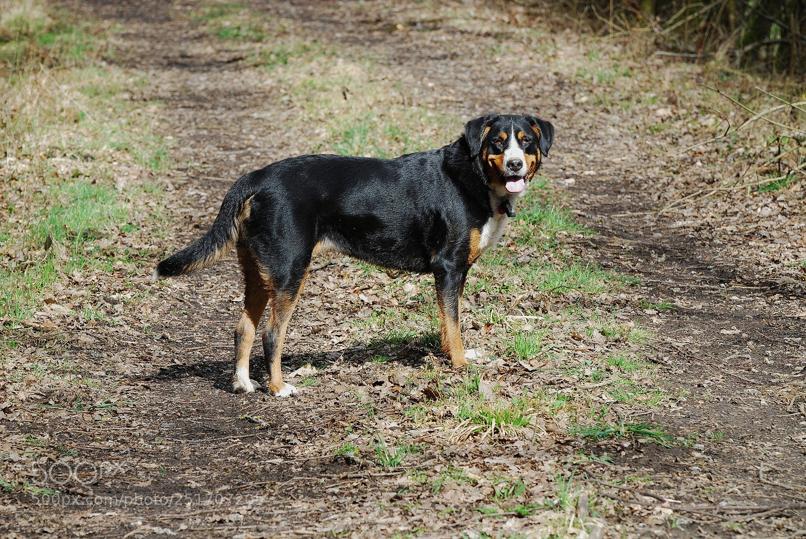 Nikon D80 sample photo. Nx photography