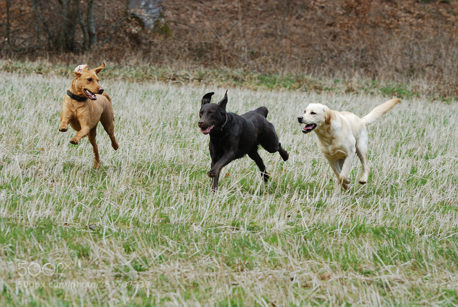 Nikon D80 sample photo. Nx photography