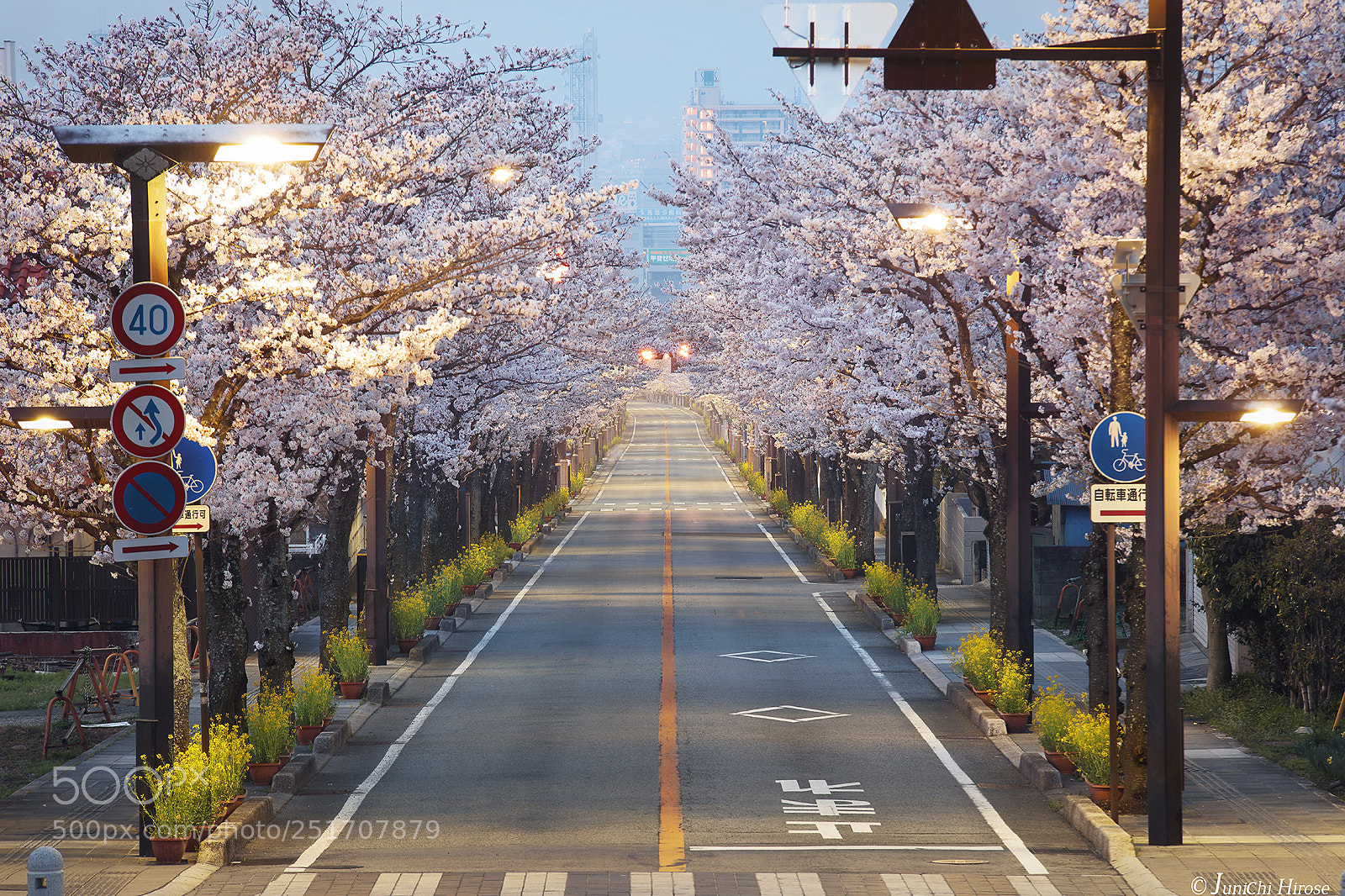 Canon EOS 5DS sample photo. Trip to sakura in 2018 #1 photography