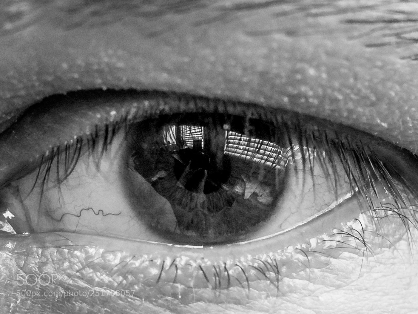 Canon EOS 700D (EOS Rebel T5i / EOS Kiss X7i) sample photo. Eye photography