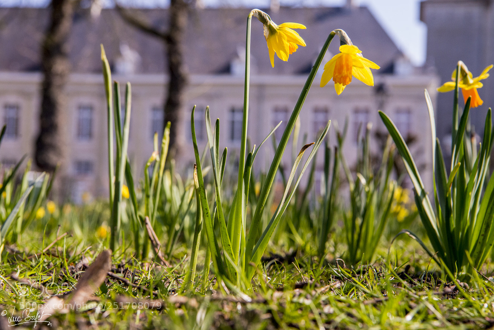 Nikon D800 sample photo. Spring photography
