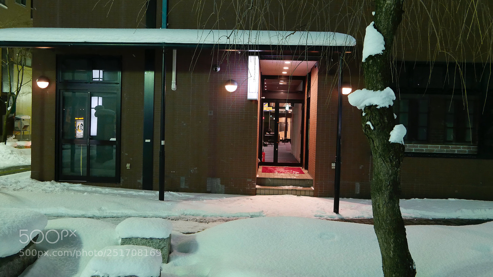 Leica D-Lux (Typ 109) sample photo. 雪夜。。。 photography