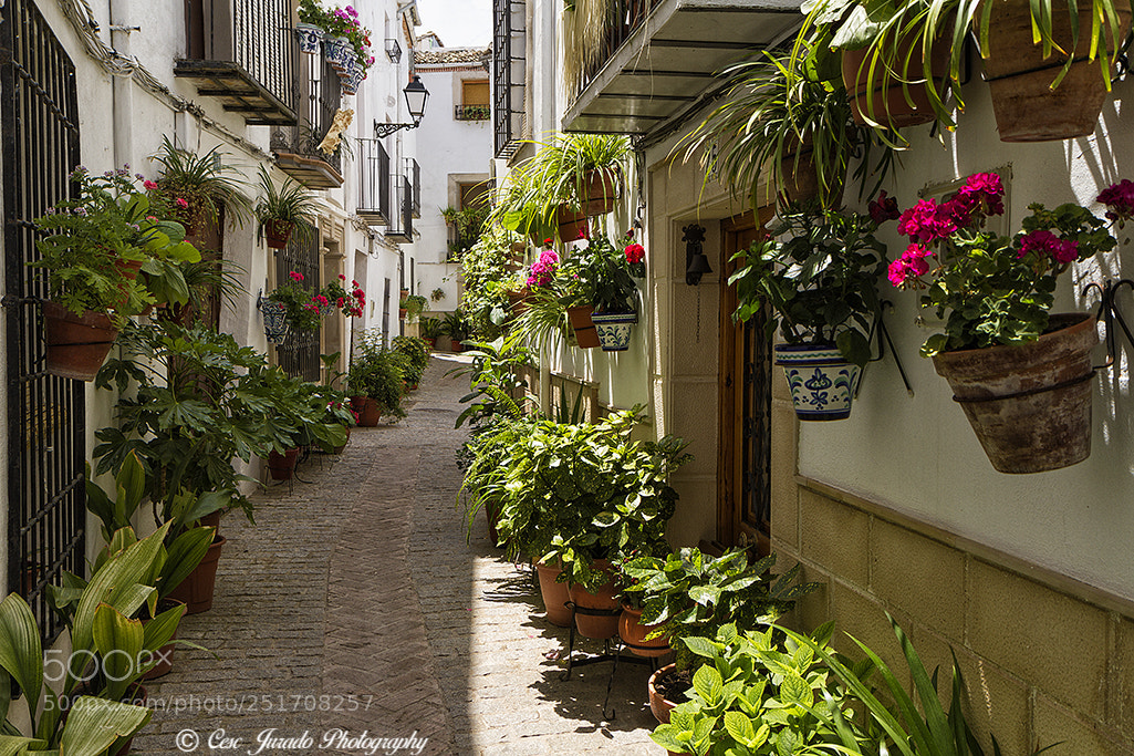 Canon EOS 7D sample photo. Calle de iznatoraf photography