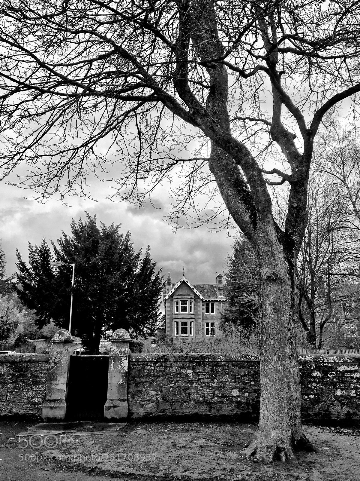 Apple iPhone SE sample photo. House behind tree photography