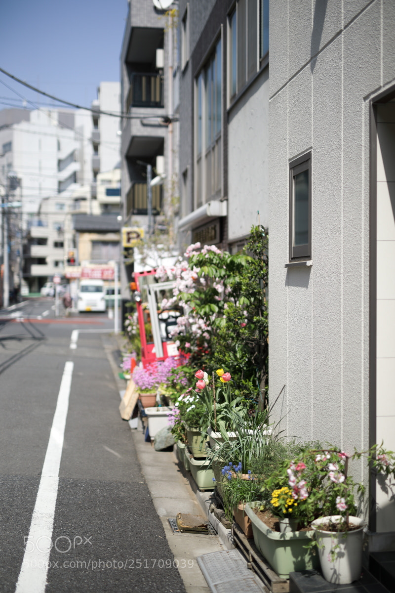 Canon EOS 5D Mark IV sample photo. Pa photography