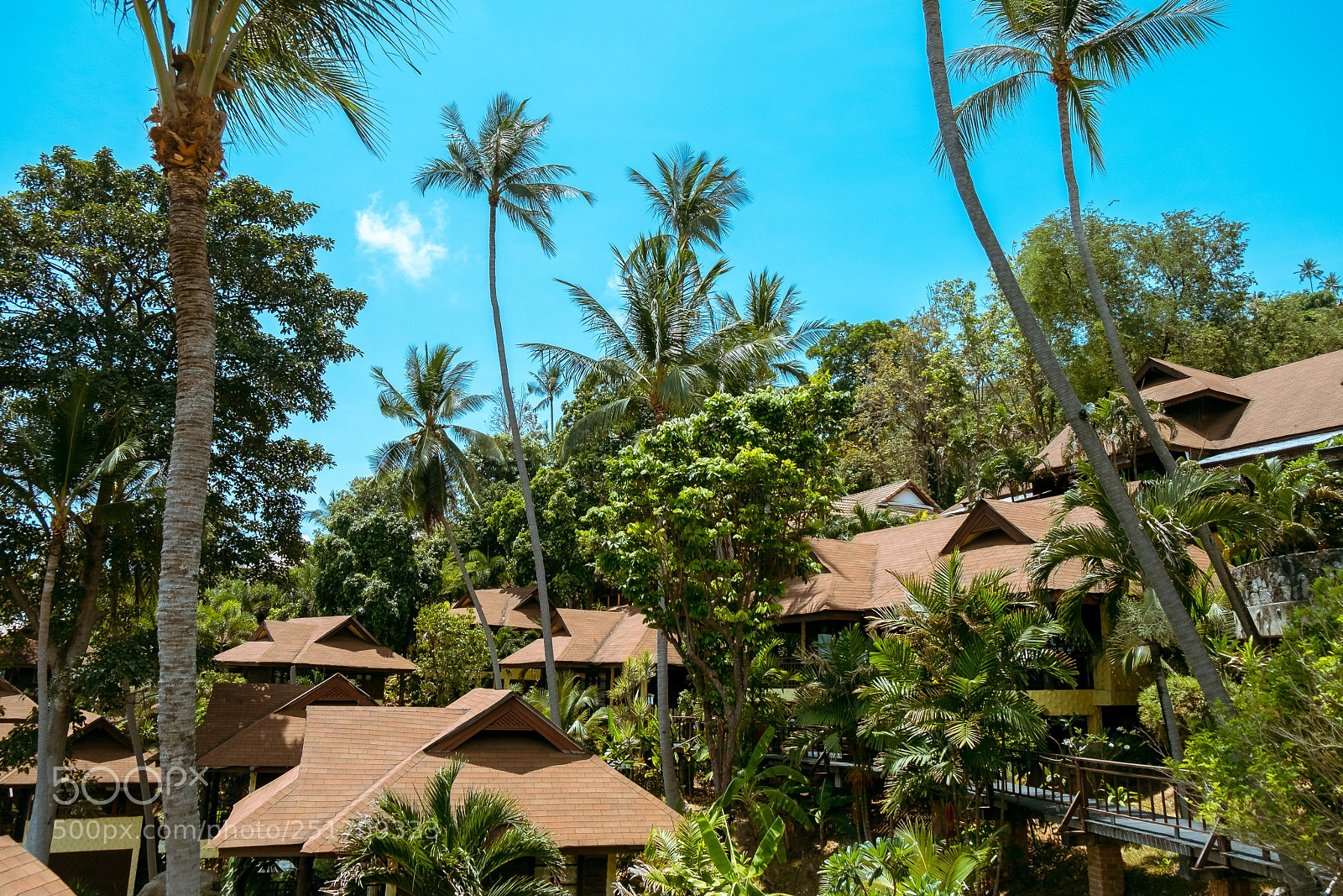 Fujifilm X-T1 sample photo. Koh samui photography