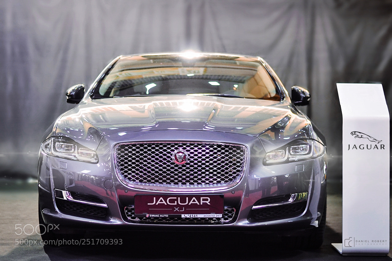 Nikon D3100 sample photo. Jaguar photography