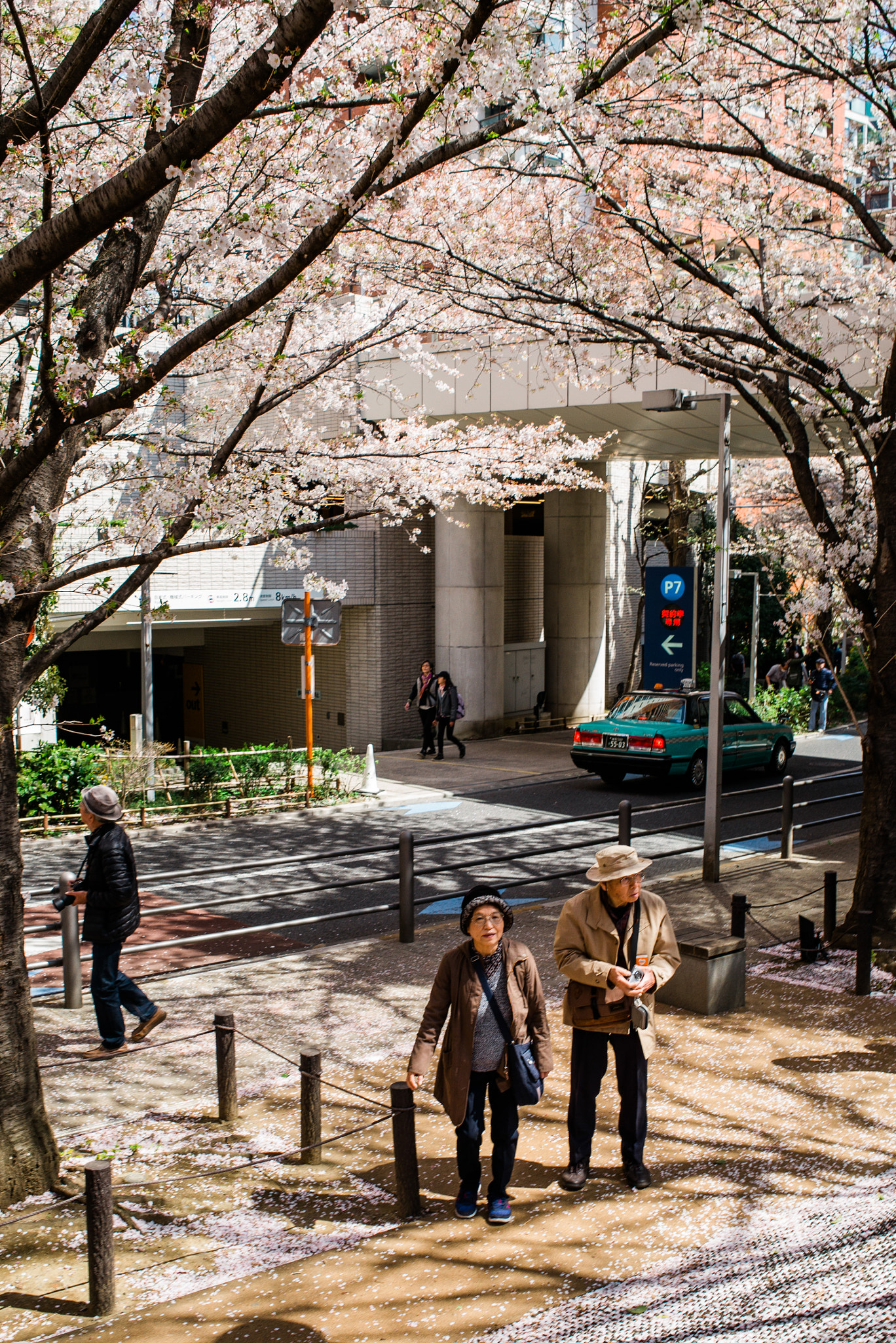 Leica M-D (TYP 262) sample photo. L photography