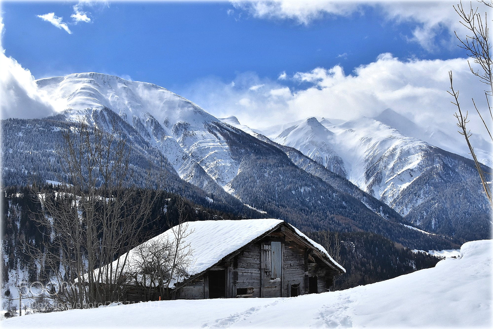 Nikon D7200 sample photo. "fiesch..." photography