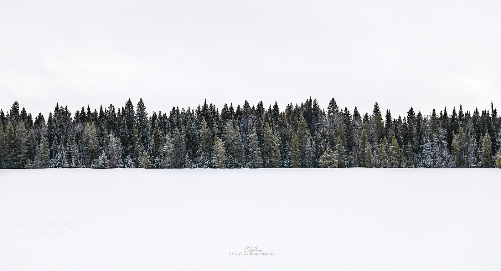 Canon EOS 5D Mark IV sample photo. Tranquility | wyoming photography