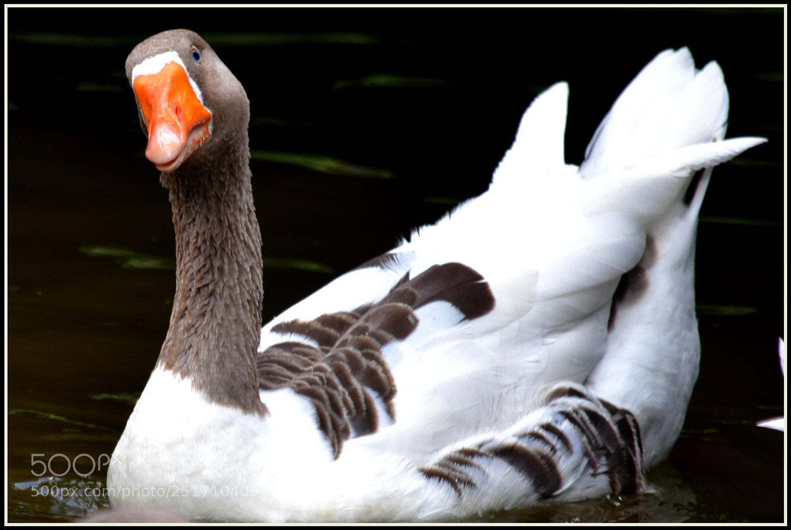 Nikon D5300 sample photo. "bonjuxuxu ;-)" photography