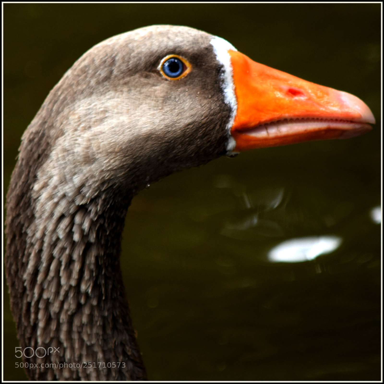 Nikon D5300 sample photo. ... photography