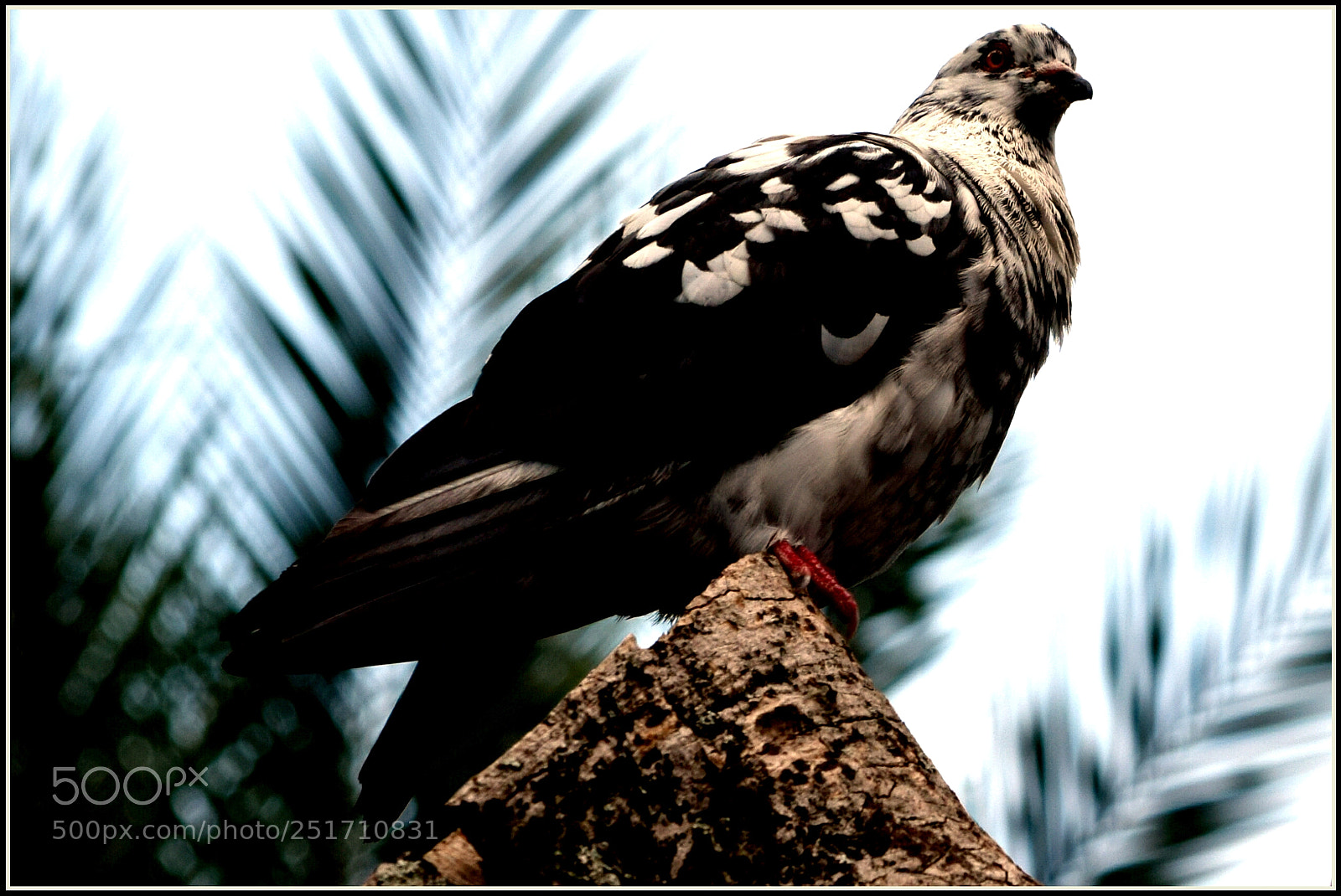 Nikon D5300 sample photo. ... photography