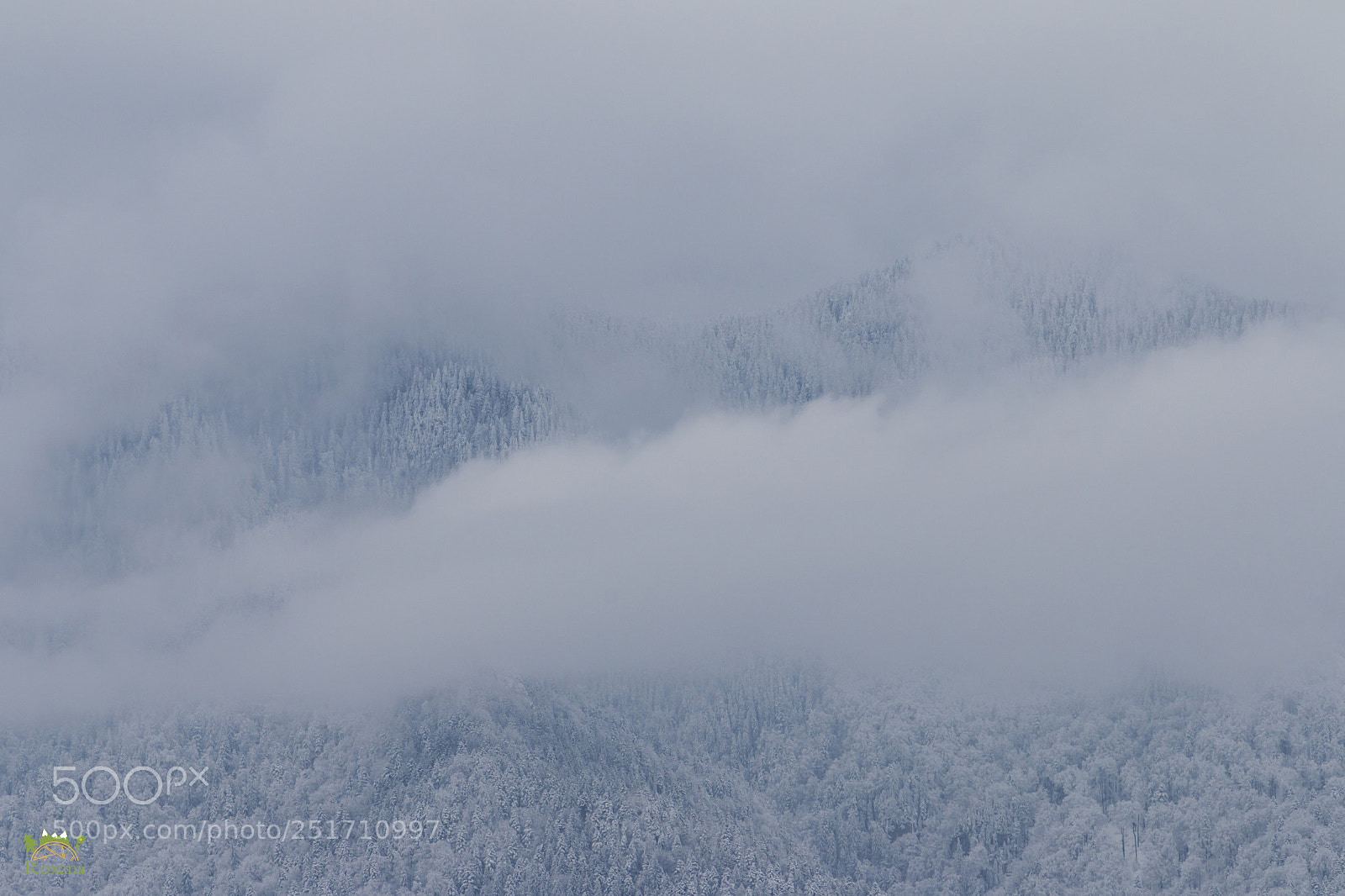Canon EOS 70D sample photo. Spring snow photography