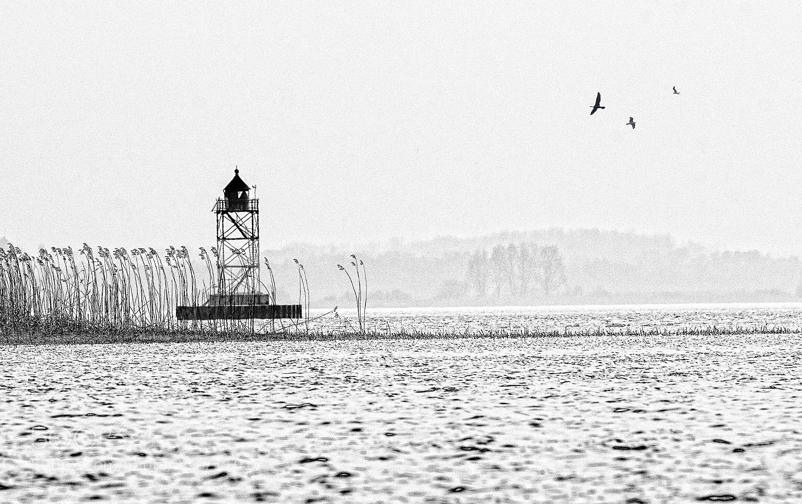 Canon EOS-1D X sample photo. Early morning shot. photography