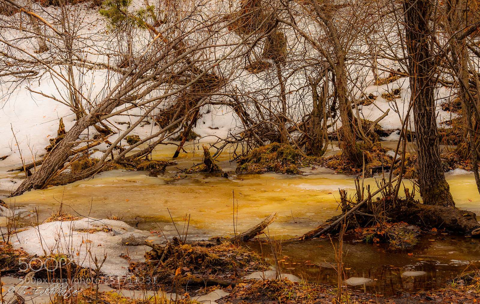 Nikon D5100 sample photo. Spring time photography