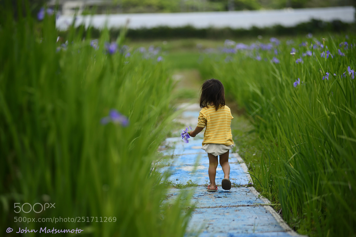 Nikon D610 sample photo. Flower garden photography