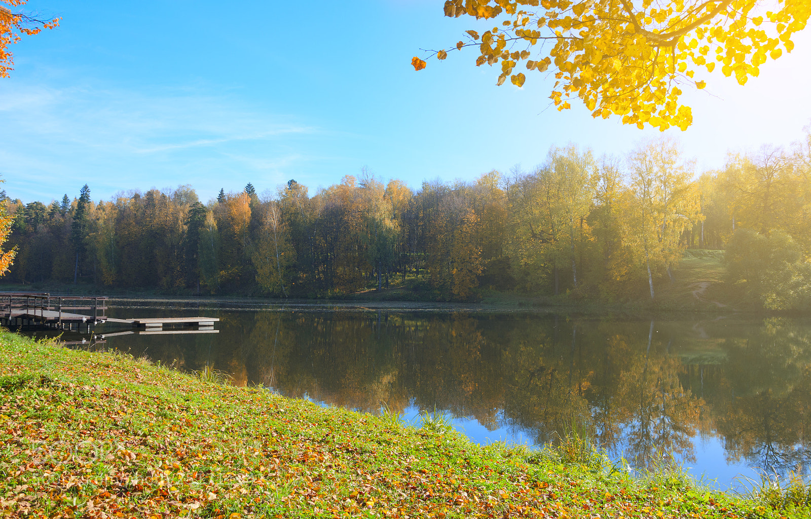 Nikon D5100 sample photo. Autumn park photography