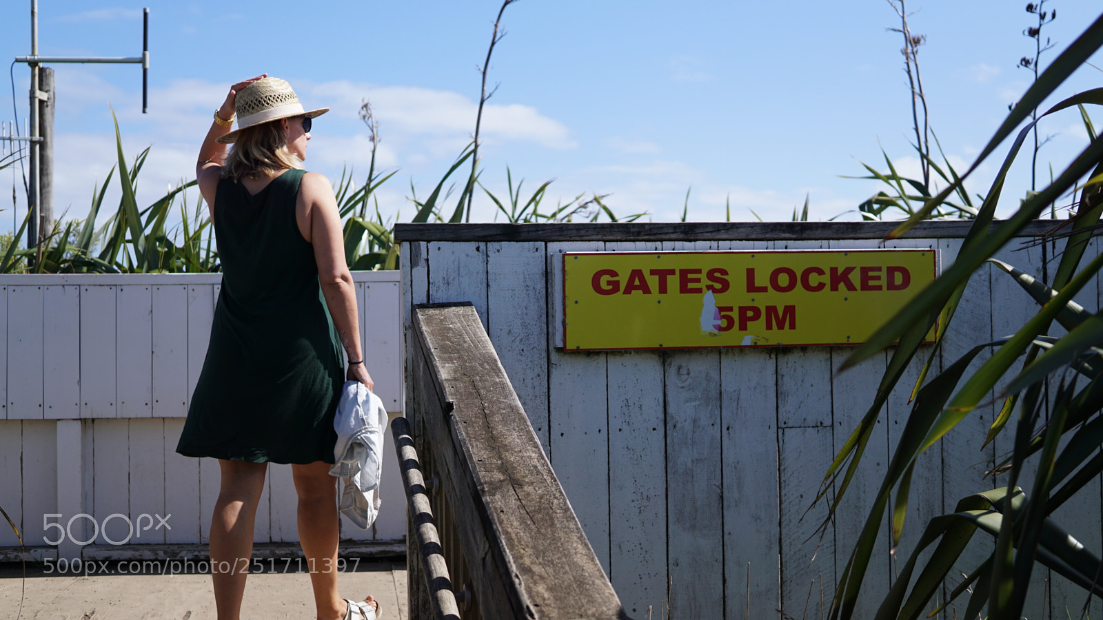 Sony a6000 sample photo. Manukau heads photography