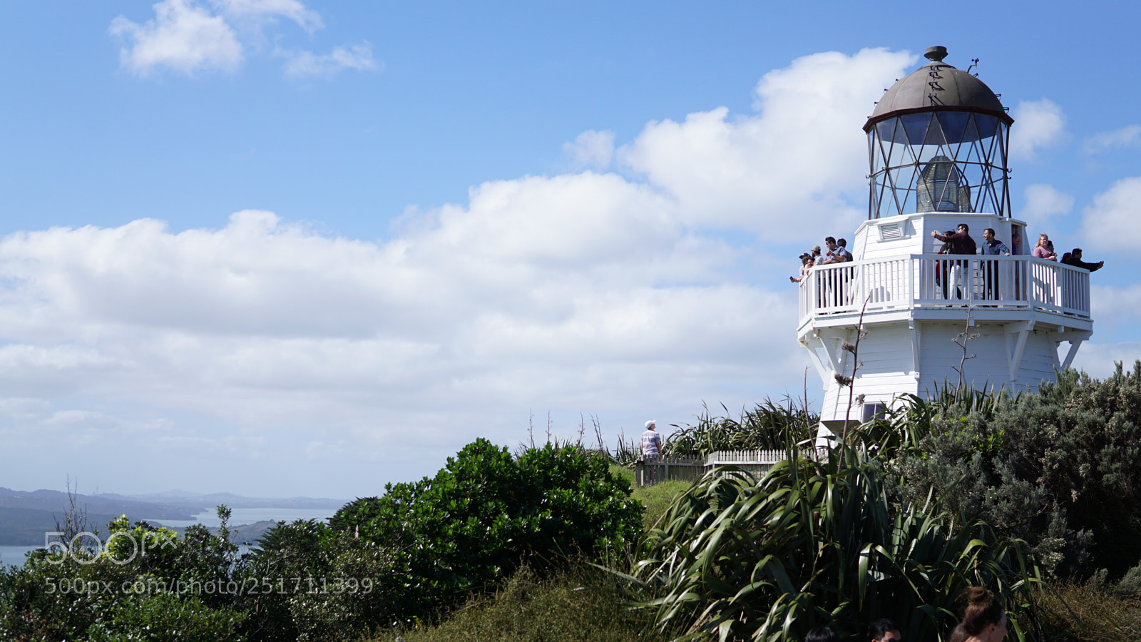 Sony a6000 sample photo. Manukau heads photography