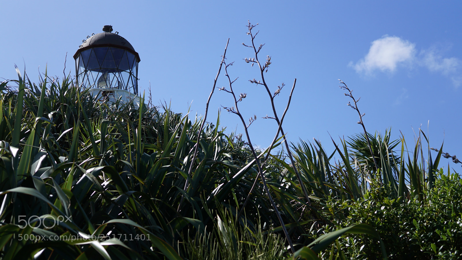 Sony a6000 sample photo. Manukau heads photography