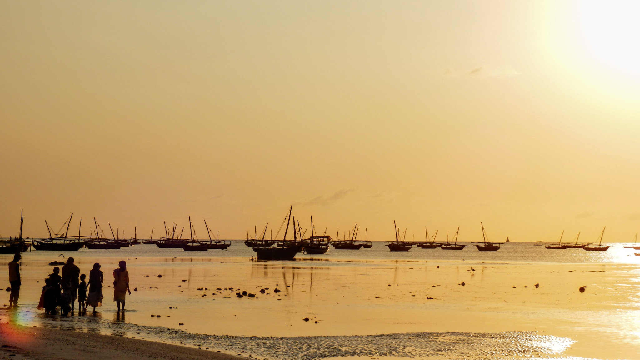 Olympus SZ-31MR sample photo. The golden land photography