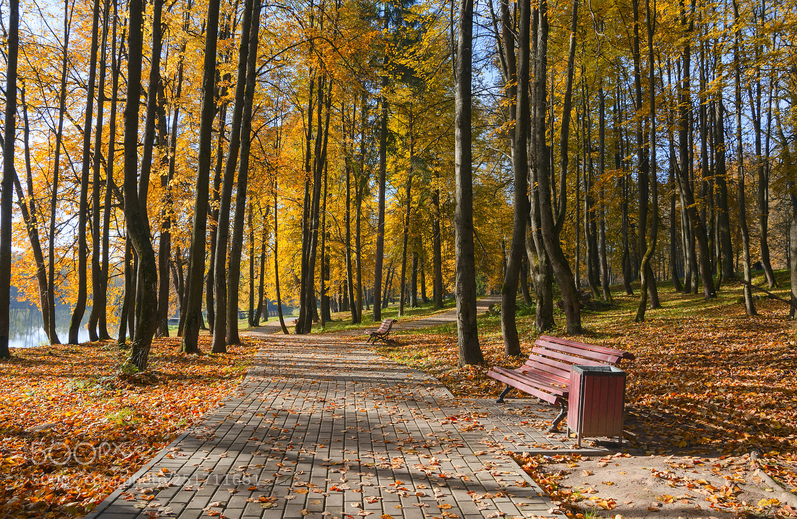 Nikon D5100 sample photo. Autumn park photography