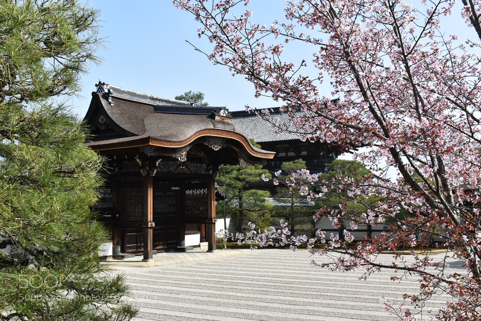 Nikon D5600 sample photo. 仁和寺 photography